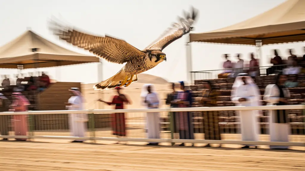 High-speed falcon racing across desert track with spectators and timing equipment
