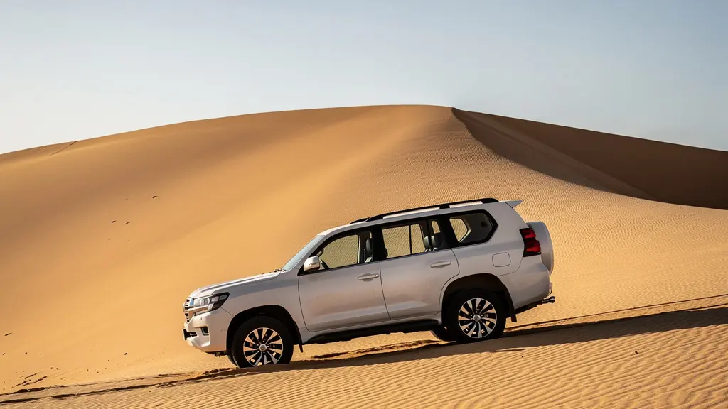 Side view diagram showing passenger positions and motion amplification in desert 4x4